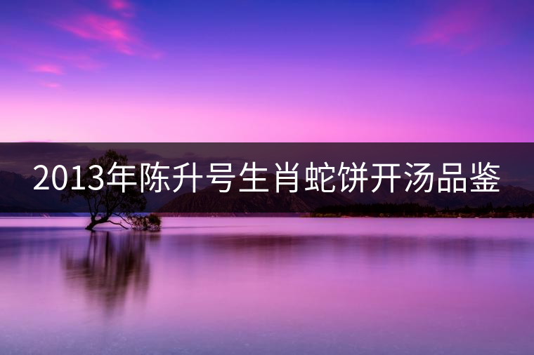 2013年陳升號(hào)生肖蛇餅開(kāi)湯品鑒