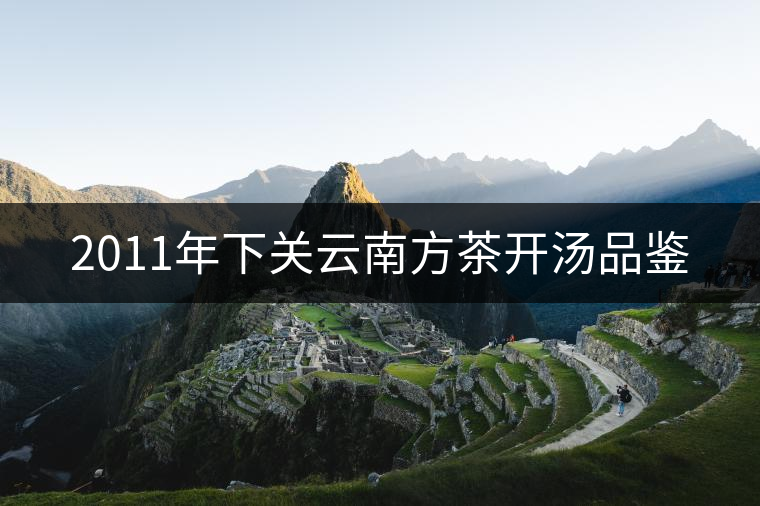 2011年下關(guān)云南方茶開湯品鑒 2011年下關(guān)云南方茶開湯品鑒