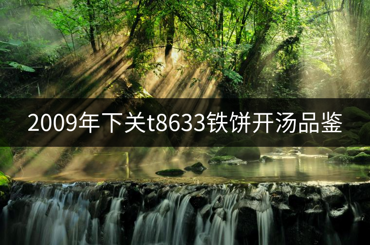 2009年下關t8633鐵餅開湯品鑒