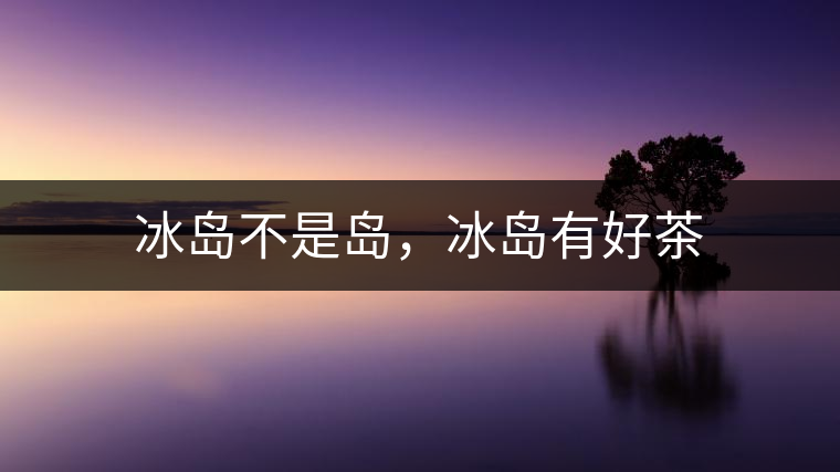 冰島不是島，冰島有好茶