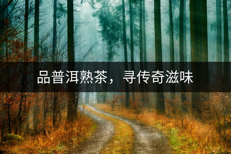 品普洱熟茶，尋傳奇滋味