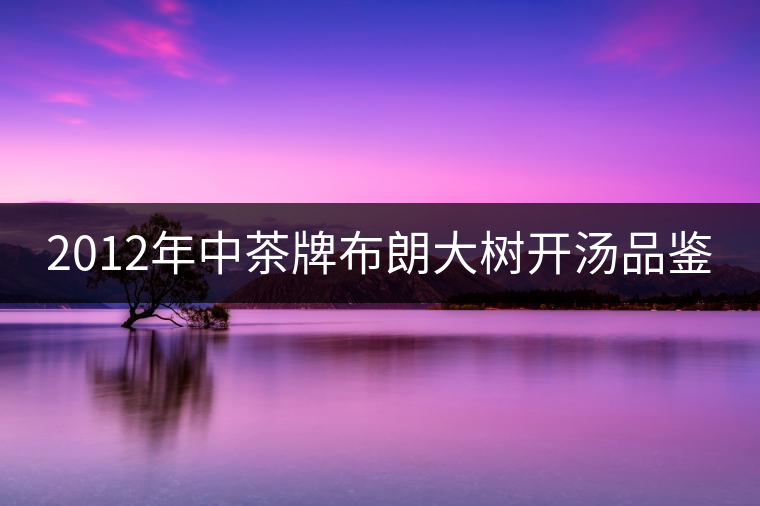 2012年中茶牌布朗大樹開湯品鑒 2012年中茶牌布朗大樹開湯品鑒
