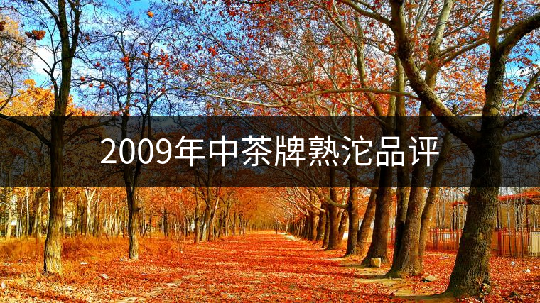 2009年中茶牌熟沱品評(píng)