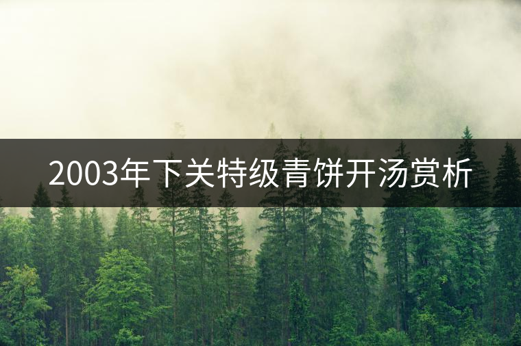 2003年下關(guān)特級(jí)青餅開湯賞析 2003年下關(guān)特級(jí)青餅開湯賞析