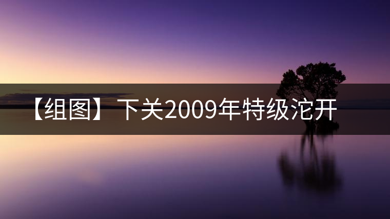 【組圖】下關2009年特級沱開湯
