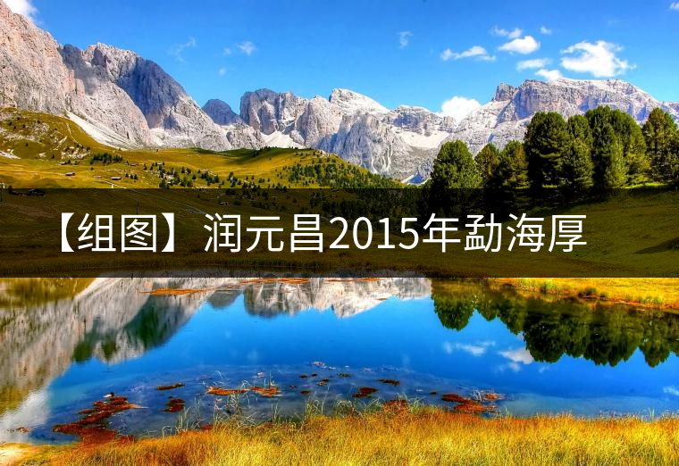 【組圖】潤(rùn)元昌2015年勐海厚磚（熟）開湯