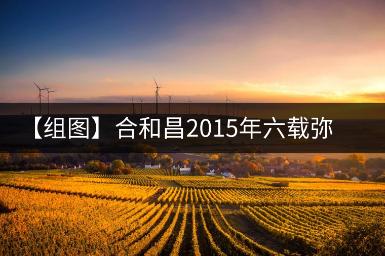 【組圖】合和昌2015年六載彌臻開湯 【組圖】合和昌2015年六載彌臻開湯