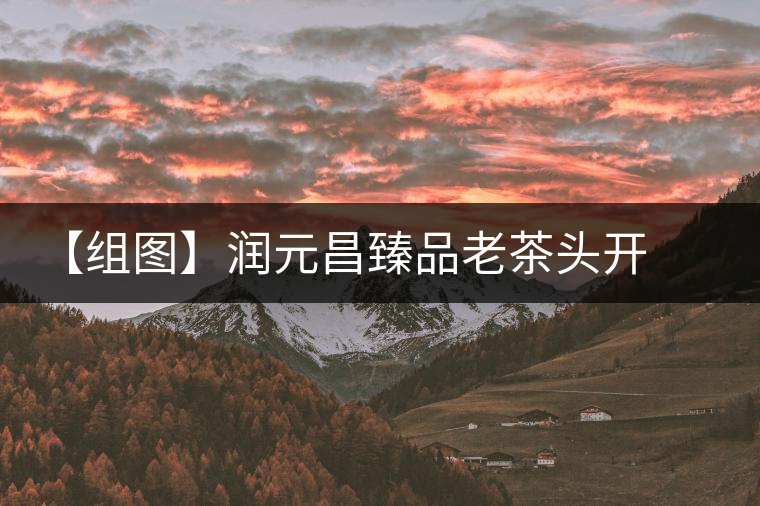 【組圖】潤元昌臻品老茶頭開湯