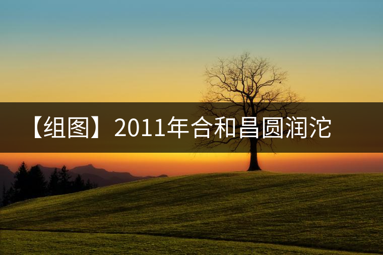 【組圖】2011年合和昌圓潤(rùn)沱茶開湯