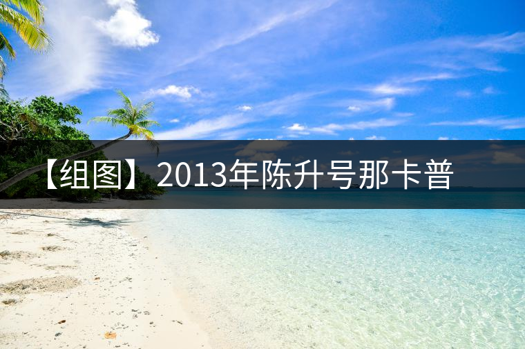 【組圖】2013年陳升號(hào)那卡普洱茶開湯 【組圖】2013年陳升號(hào)那卡普洱茶開湯