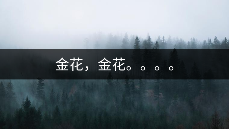 金花，金花。。。。