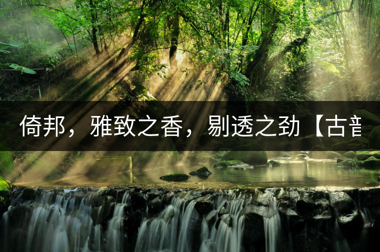 倚邦，雅致之香，剔透之勁【古普十二山品鑒】