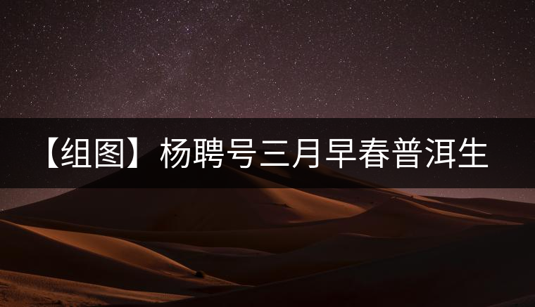 【組圖】楊聘號(hào)三月早春普洱生茶開湯