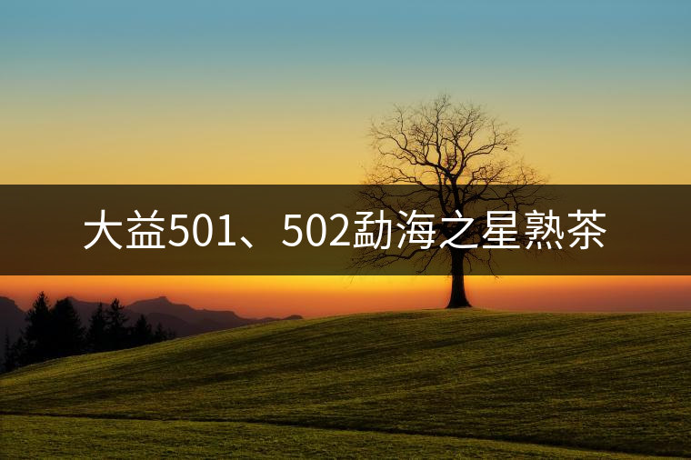 大益501、502勐海之星熟茶