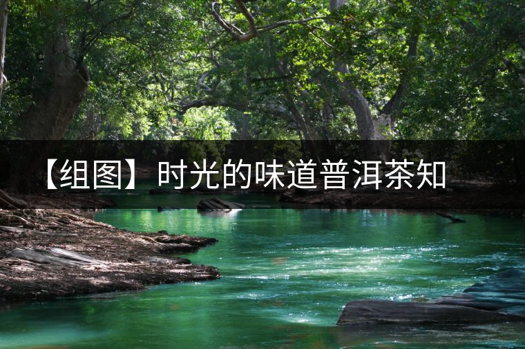 【組圖】時光的味道普洱茶知道