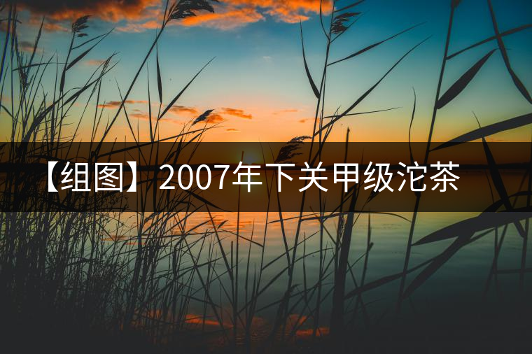 【組圖】2007年下關(guān)甲級沱茶開湯
