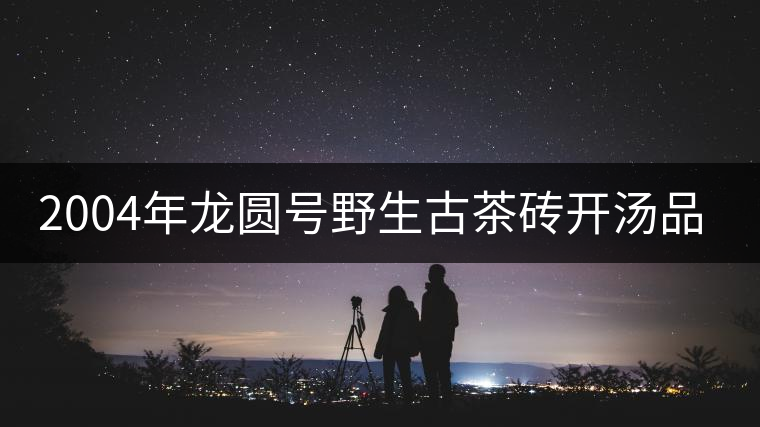 2004年龍圓號(hào)野生古茶磚開湯品鑒