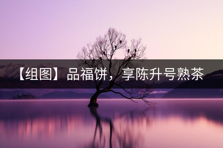 【組圖】品福餅，享陳升號(hào)熟茶滋味