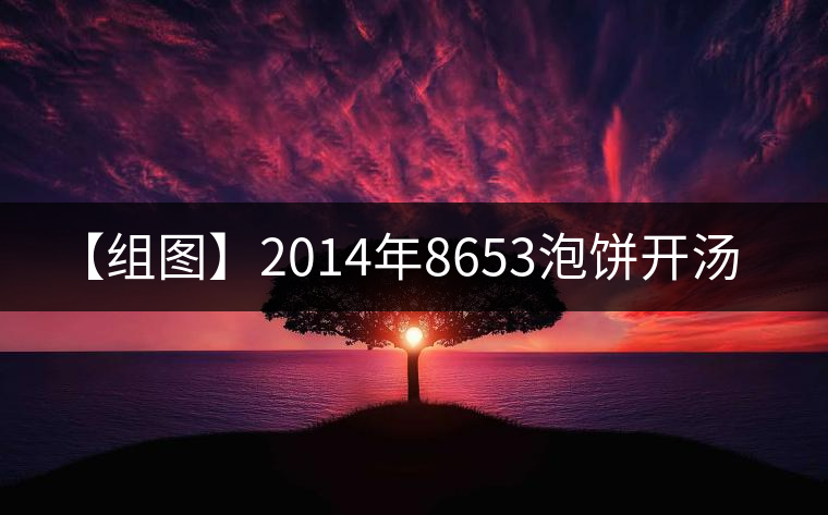 【組圖】2014年8653泡餅開湯 【組圖】2014年8653泡餅開湯