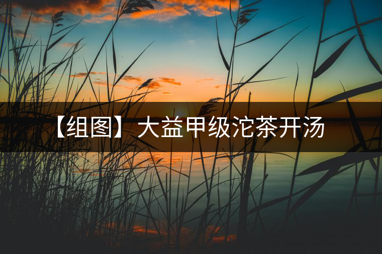 【組圖】大益甲級(jí)沱茶開湯 【組圖】大益甲級(jí)沱茶開湯