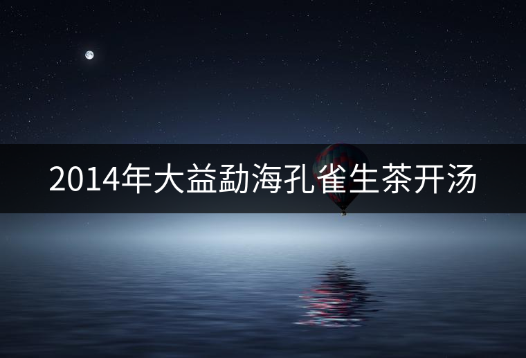 2014年大益勐?？兹干栝_(kāi)湯