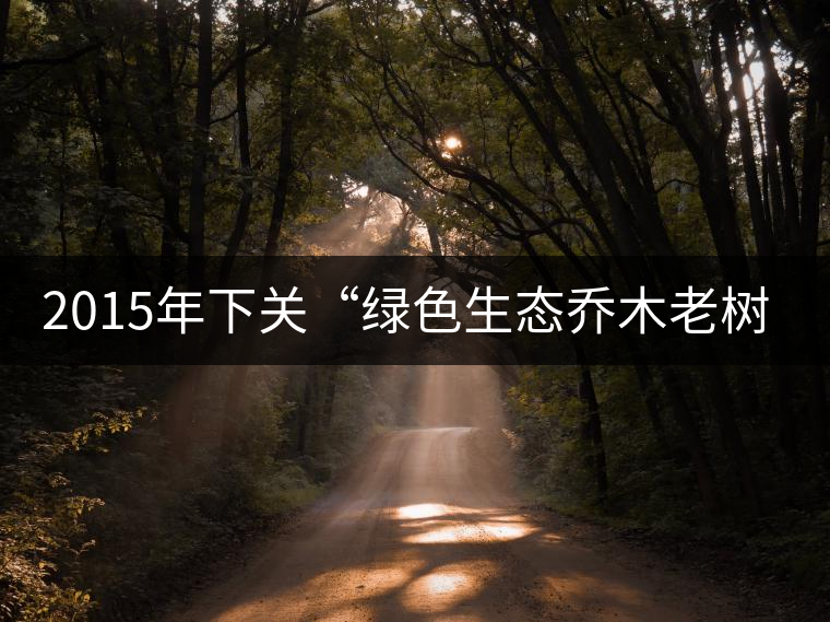 2015年下關(guān)“綠色生態(tài)喬木老樹茶”開湯