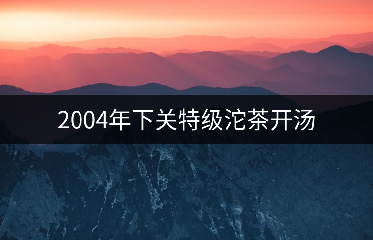 2004年下關(guān)特級沱茶開湯
