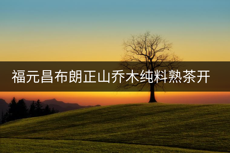 福元昌布朗正山喬木純料熟茶開湯