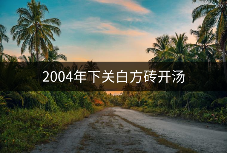2004年下關(guān)白方磚開湯 2004年下關(guān)白方磚開湯