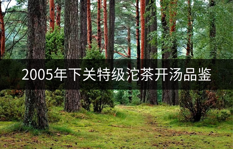 2005年下關(guān)特級(jí)沱茶開湯品鑒 2005年下關(guān)特級(jí)沱茶開湯品鑒