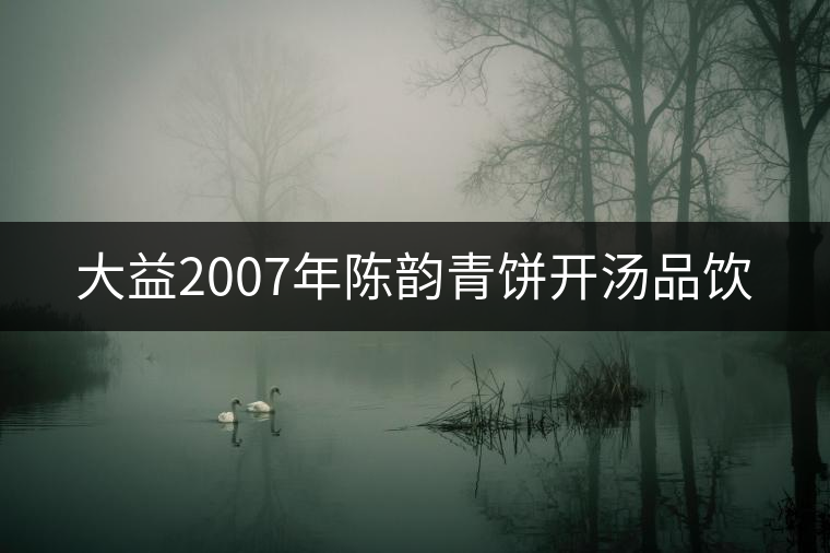 大益2007年陳韻青餅開(kāi)湯品飲