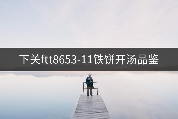 下關(guān)ftt8653-11鐵餅開湯品鑒 下關(guān)ftt8653-11鐵餅開湯品鑒