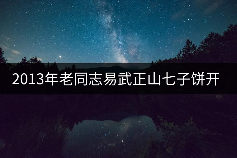 2013年老同志易武正山七子餅開湯