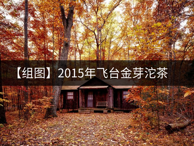 【組圖】2015年飛臺(tái)金芽沱茶開湯 【組圖】2015年飛臺(tái)金芽沱茶開湯
