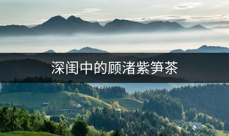 深閨中的顧渚紫筍茶