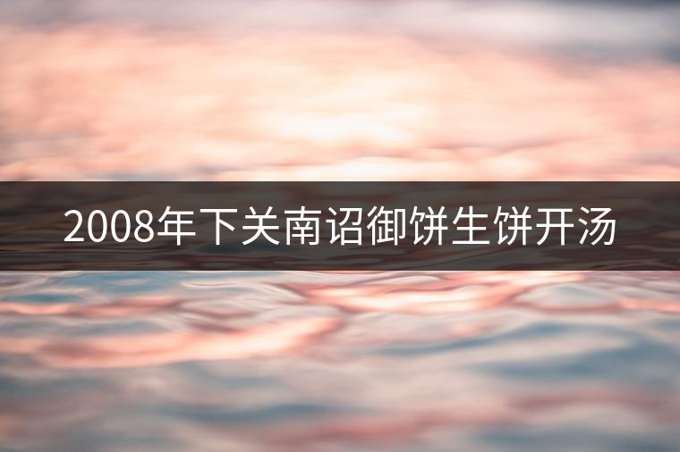2008年下關(guān)南詔御餅生餅開(kāi)湯