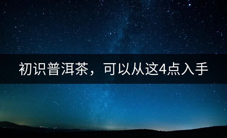 初識普洱茶，可以從這4點入手