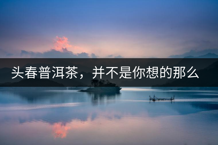 頭春普洱茶，并不是你想的那么好