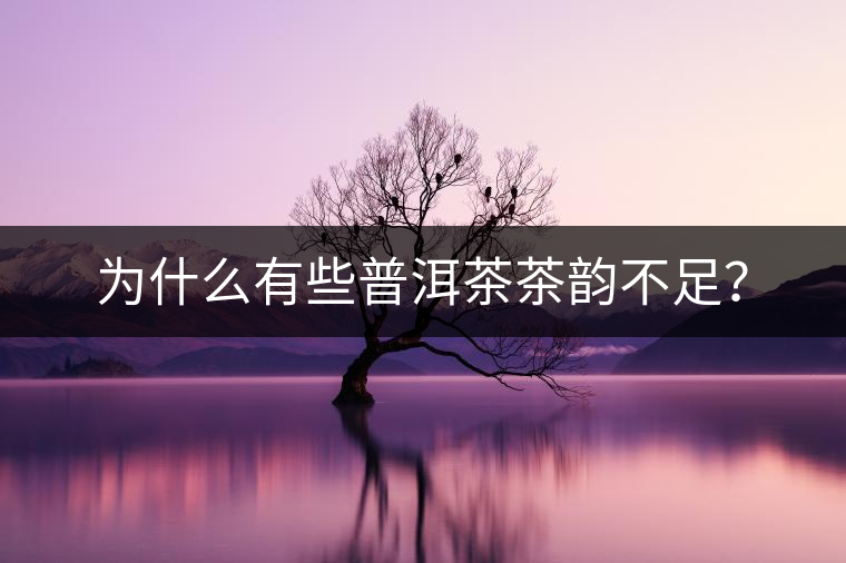 為什么有些普洱茶茶韻不足？
