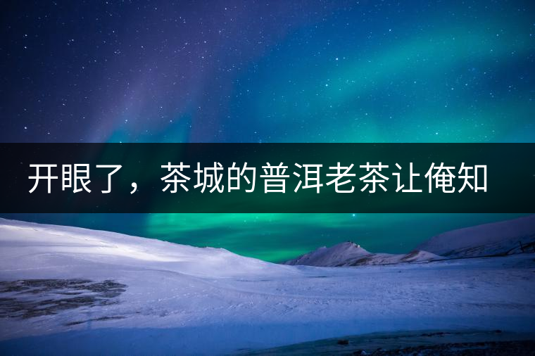 開眼了，茶城的普洱老茶讓俺知道了老茶樹