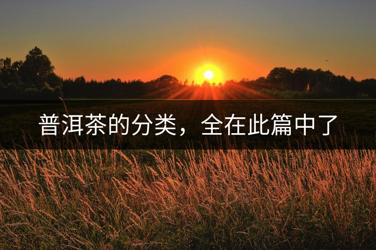 普洱茶的分類，全在此篇中了