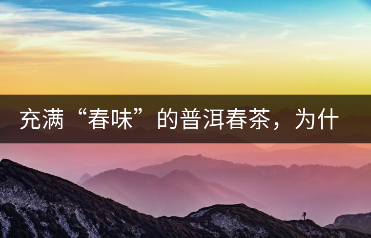 充滿“春味”的普洱春茶，為什么值得期待？