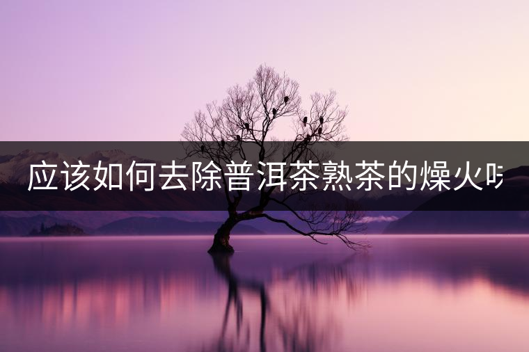 應(yīng)該如何去除普洱茶熟茶的燥火味？