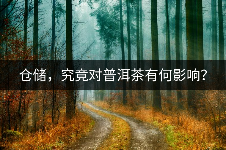 倉儲，究竟對普洱茶有何影響？