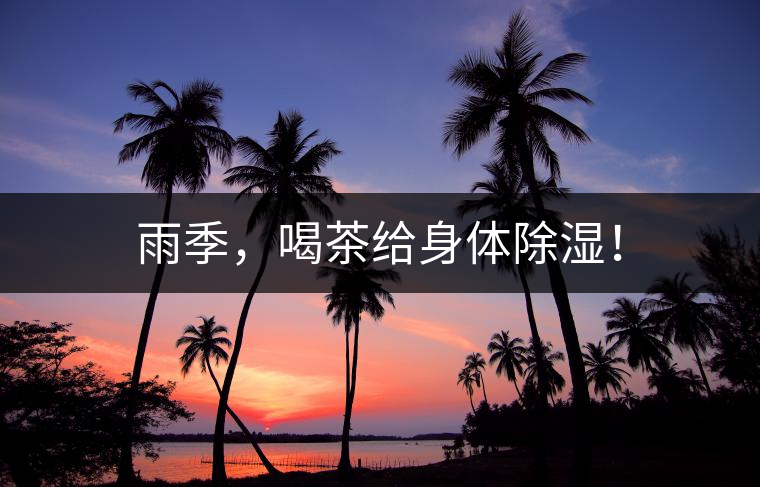 雨季，喝茶給身體除濕！