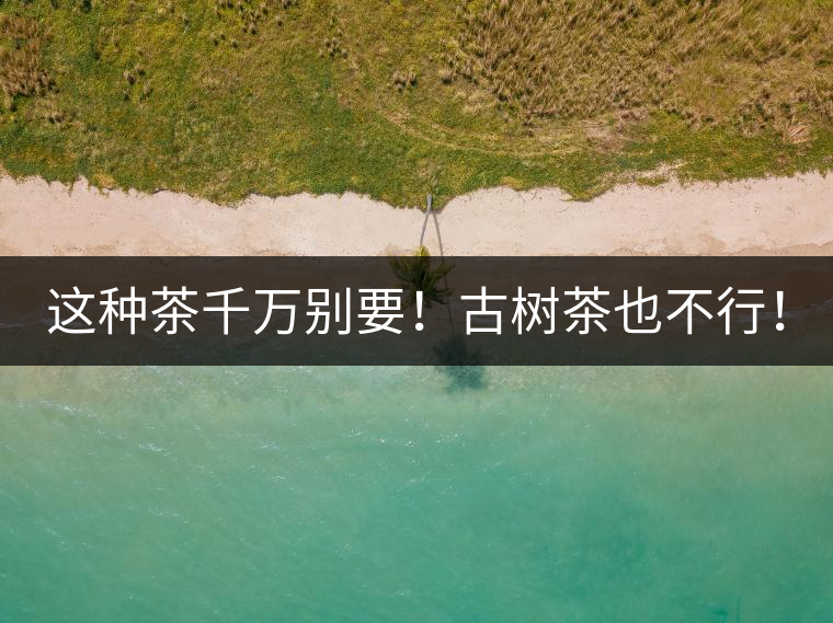 這種茶千萬別要！古樹茶也不行！