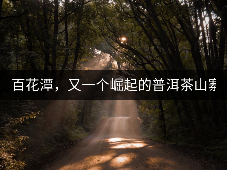 百花潭，又一個(gè)崛起的普洱茶山寨！