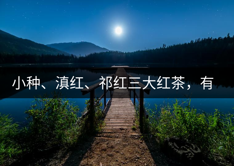 小種、滇紅、祁紅三大紅茶，有何區(qū)別