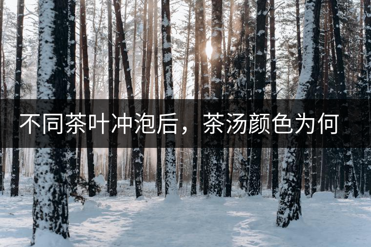 不同茶葉沖泡后，茶湯顏色為何各不相同？