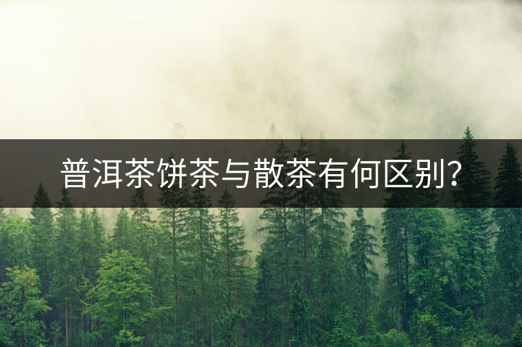 普洱茶餅茶與散茶有何區(qū)別？